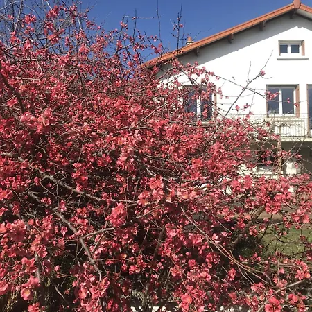 Neuf Dans Maison Avec Vue Sur La Chaine Des Puys Apartamento *